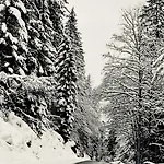 Beautiful Lakeside With Panoramic Views Gérardmer