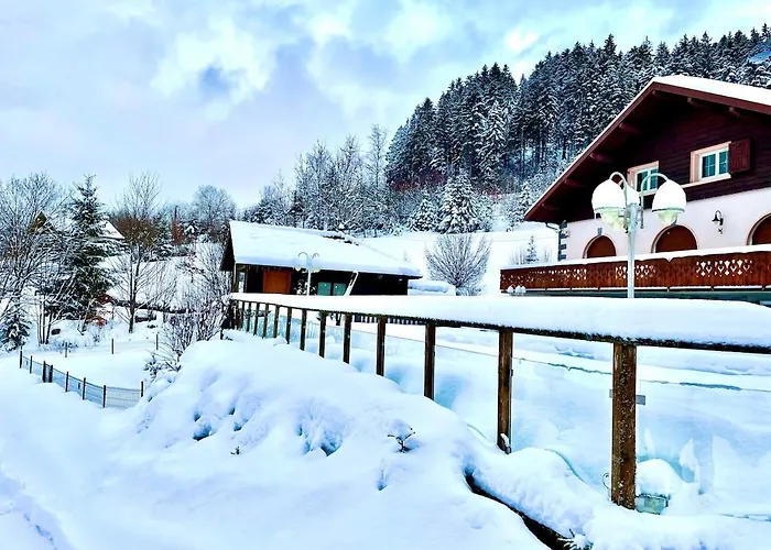 Beautiful Lakeside With Panoramic Views * Gérardmer