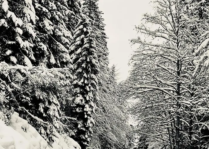 Beautiful Lakeside With Panoramic Views Gérardmer